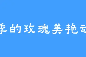 夏季的玫瑰美艳动人
