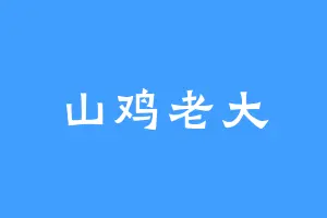 山鸡老大