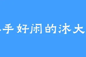 游手好闲的沐大人