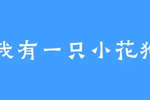 我有一只小花狗