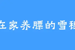 在家养膘的雪穗