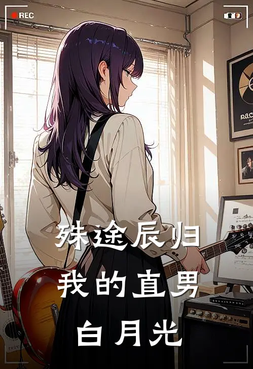 殊途辰归：我的直男白月光