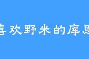 喜欢野米的库恩