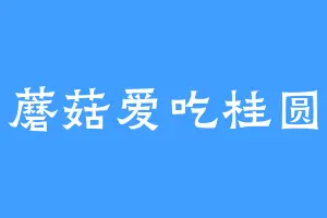 蘑菇爱吃桂圆
