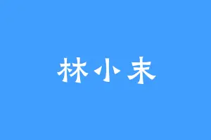 林小末