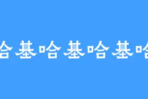 哈基哈基哈基哈