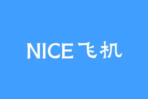 NICE飞机