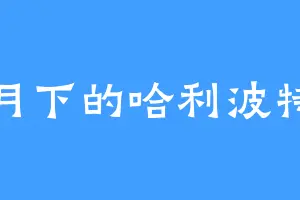 月下的哈利波特