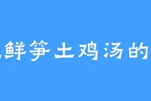爱吃鲜笋土鸡汤的金莫