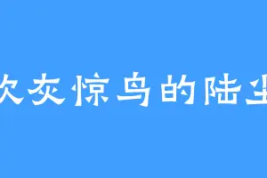 喜欢灰惊鸟的陆尘笑