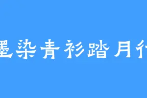 墨染青衫踏月行