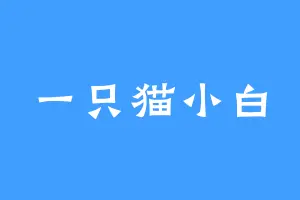 一只猫小白