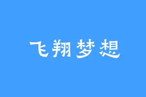 飞翔梦想