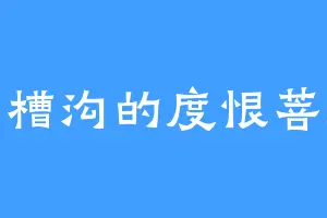 马槽沟的度恨菩提