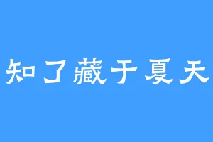 知了藏于夏天