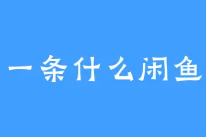 一条什么闲鱼