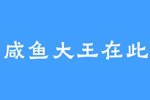 咸鱼大王在此