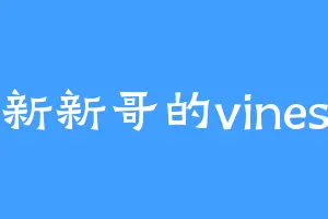 新新哥的vines