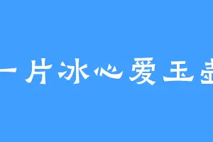 一片冰心爱玉壶