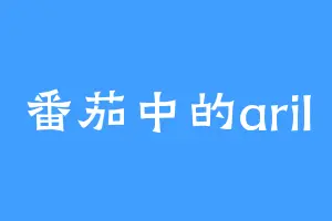 番茄中的aril