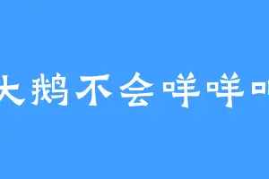 大鹅不会咩咩叫
