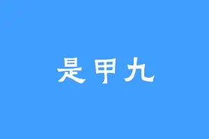 是甲九