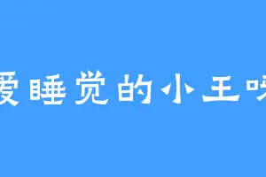 爱睡觉的小王呀