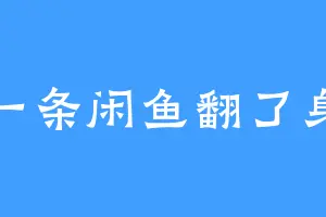 一条闲鱼翻了身
