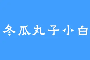 冬瓜丸子小白
