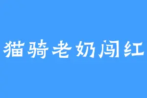 小猫骑老奶闯红灯