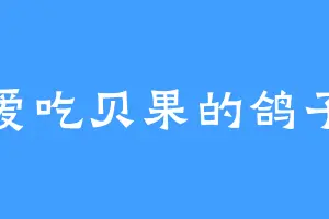 爱吃贝果的鸽子