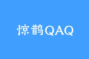 惊鹊QAQ