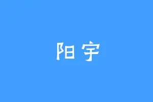 阳宇