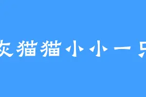 灰猫猫小小一只