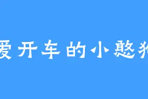 爱开车的小憨狗