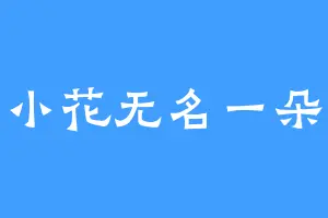 小花无名一朵