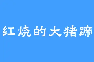 红烧的大猪蹄