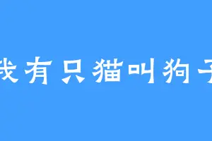 我有只猫叫狗子
