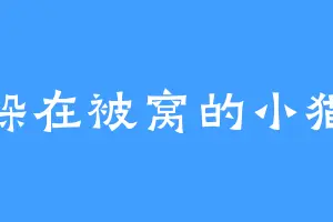 躲在被窝的小猫