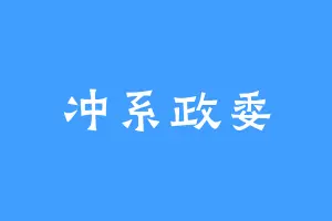 冲系政委