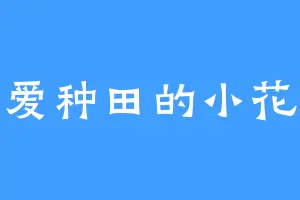 爱种田的小花