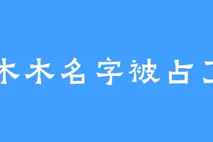 木木名字被占了