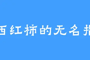 西红柿的无名指