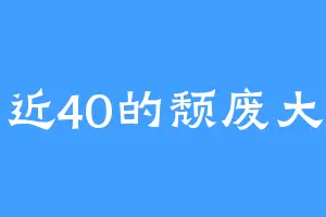 年近40的颓废大叔