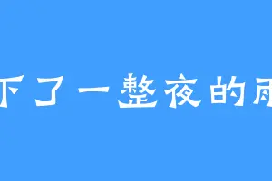 下了一整夜的雨