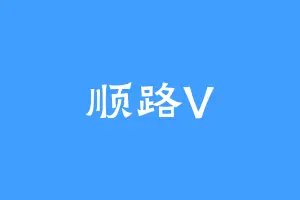 顺路V